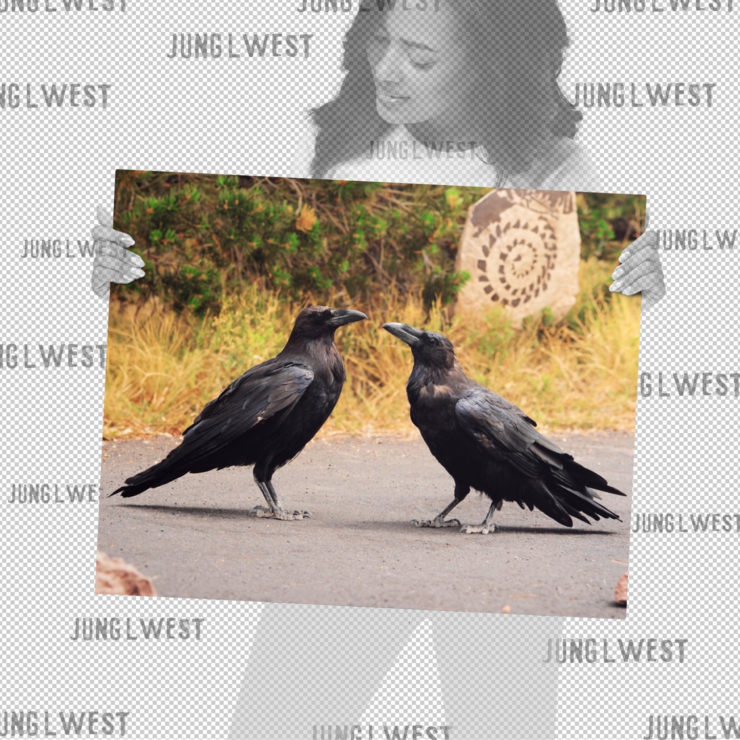 Two Ravens | 16x20 Metal Print - JUNG L WEST