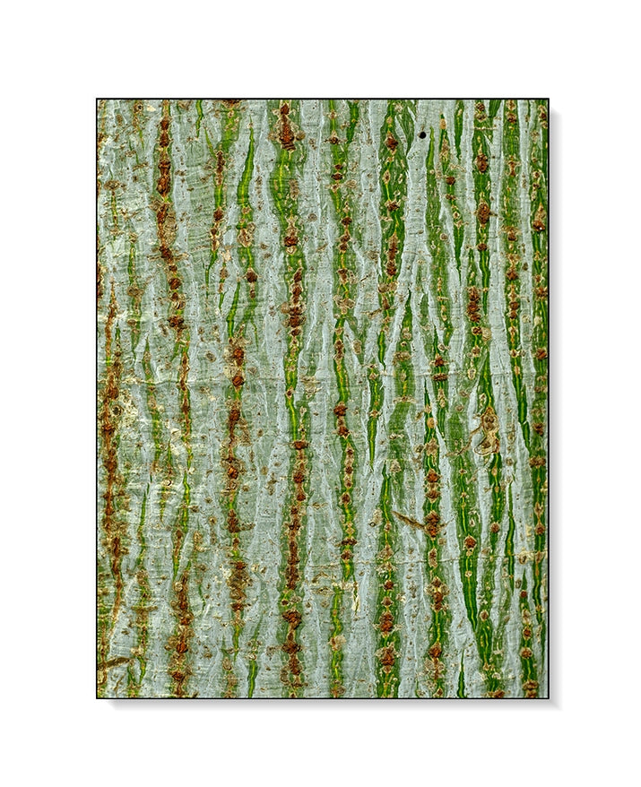 Large Print TIFF 300 DPI Junglwest copyright license