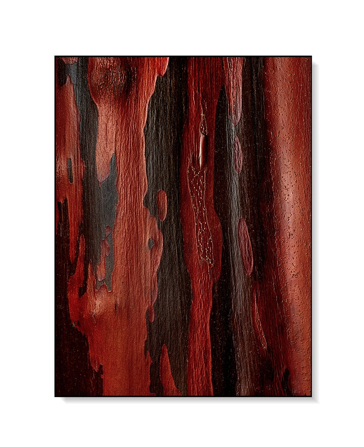 Large Print Texture TIFF 300 DPI Junglwest