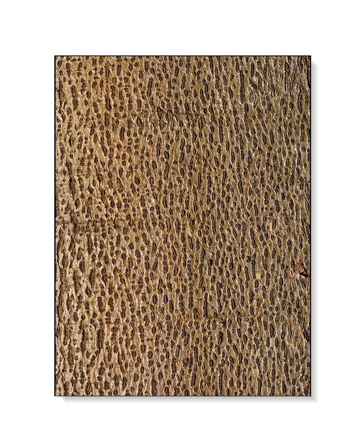 Large Print Texture TIFF 300 DPI Junglwest copyright license