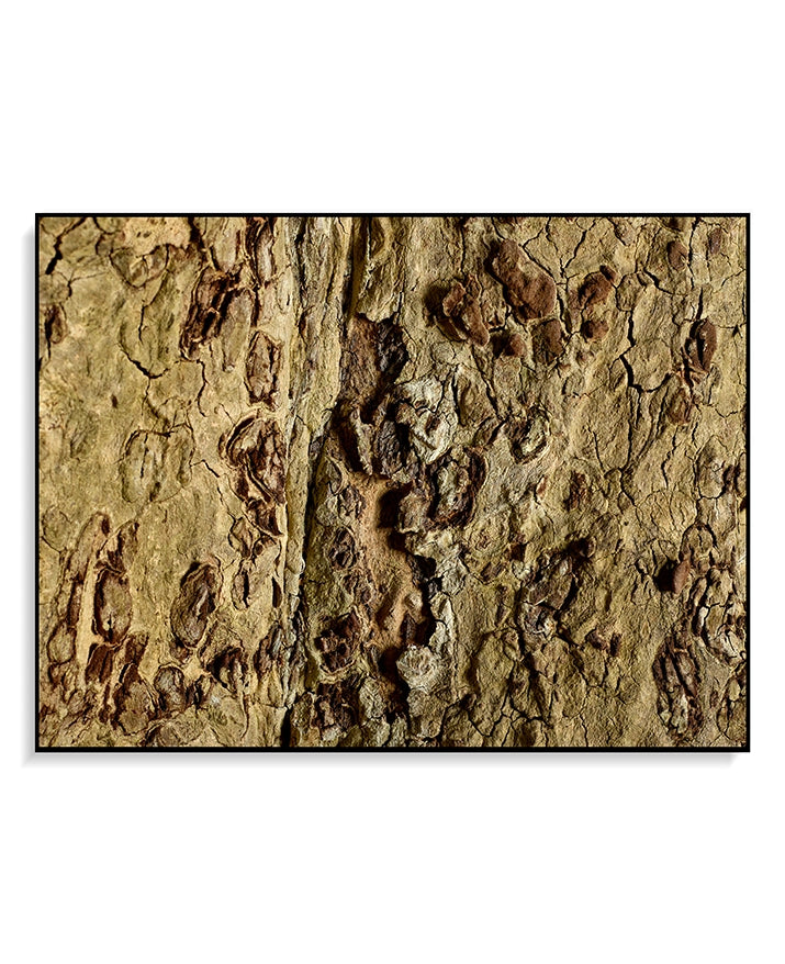 Large Print TIFF 300 DPI Junglwest copyright license