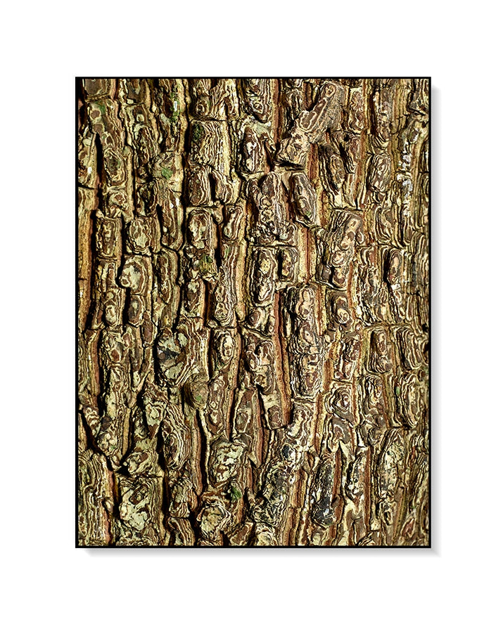 Large Print TIFF 300 DPI Junglwest copyright license