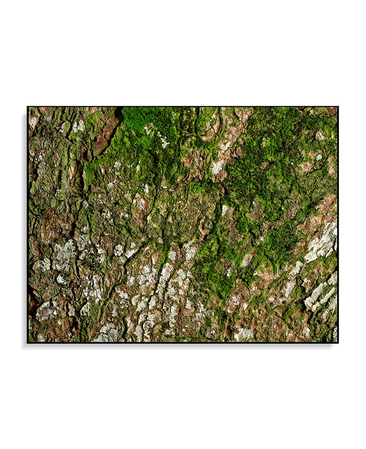 Large Print Texture TIFF 300 DPI Junglwest