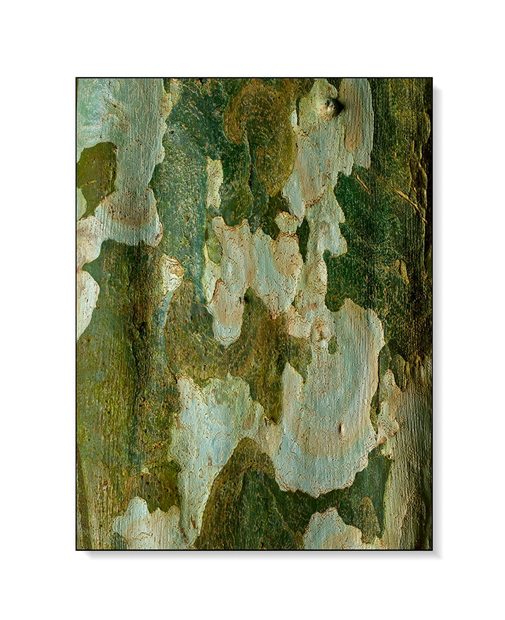 Large Print TIFF 300 DPI Junglwest copyright license