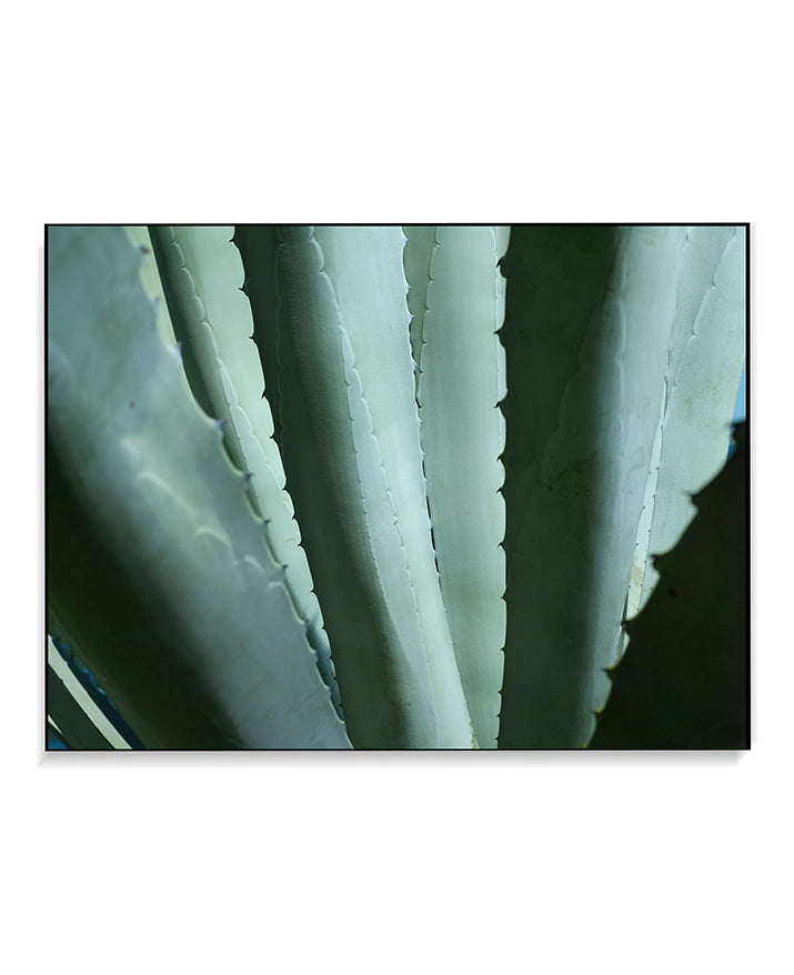 Large Print TIFF 300 DPI Junglwest copyright license