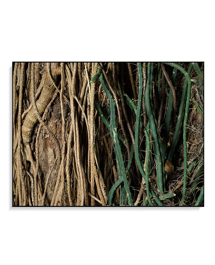 Large Print Texture TIFF 300 DPI Junglwest copyright license