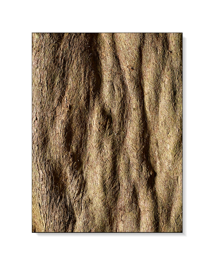 Large Print Texture TIFF 300 DPI Junglwest