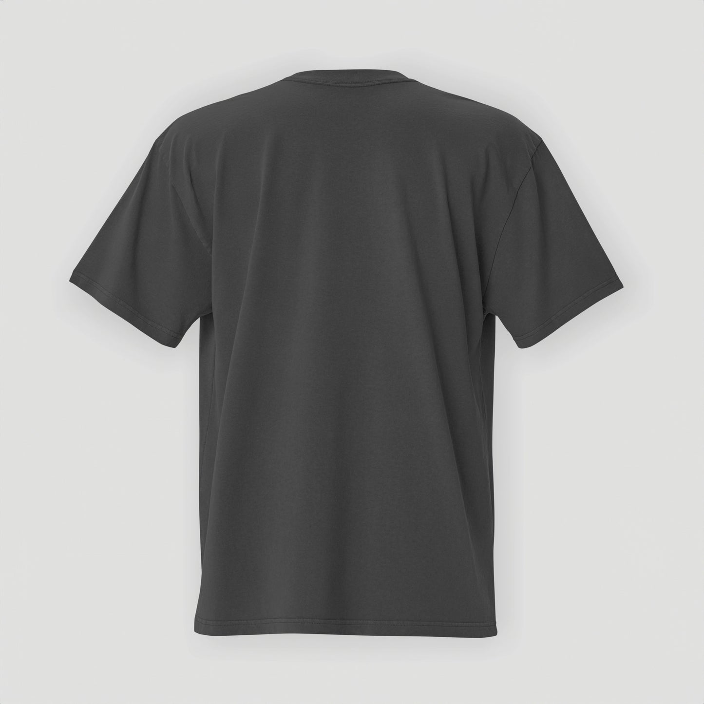 Heavyweight cotton Tee mockup Back