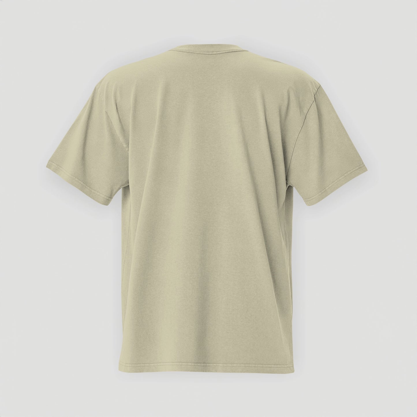 Oversized T-Shirt 1961 Collection Faded Eucalyptus/Black - JUNG L WEST
