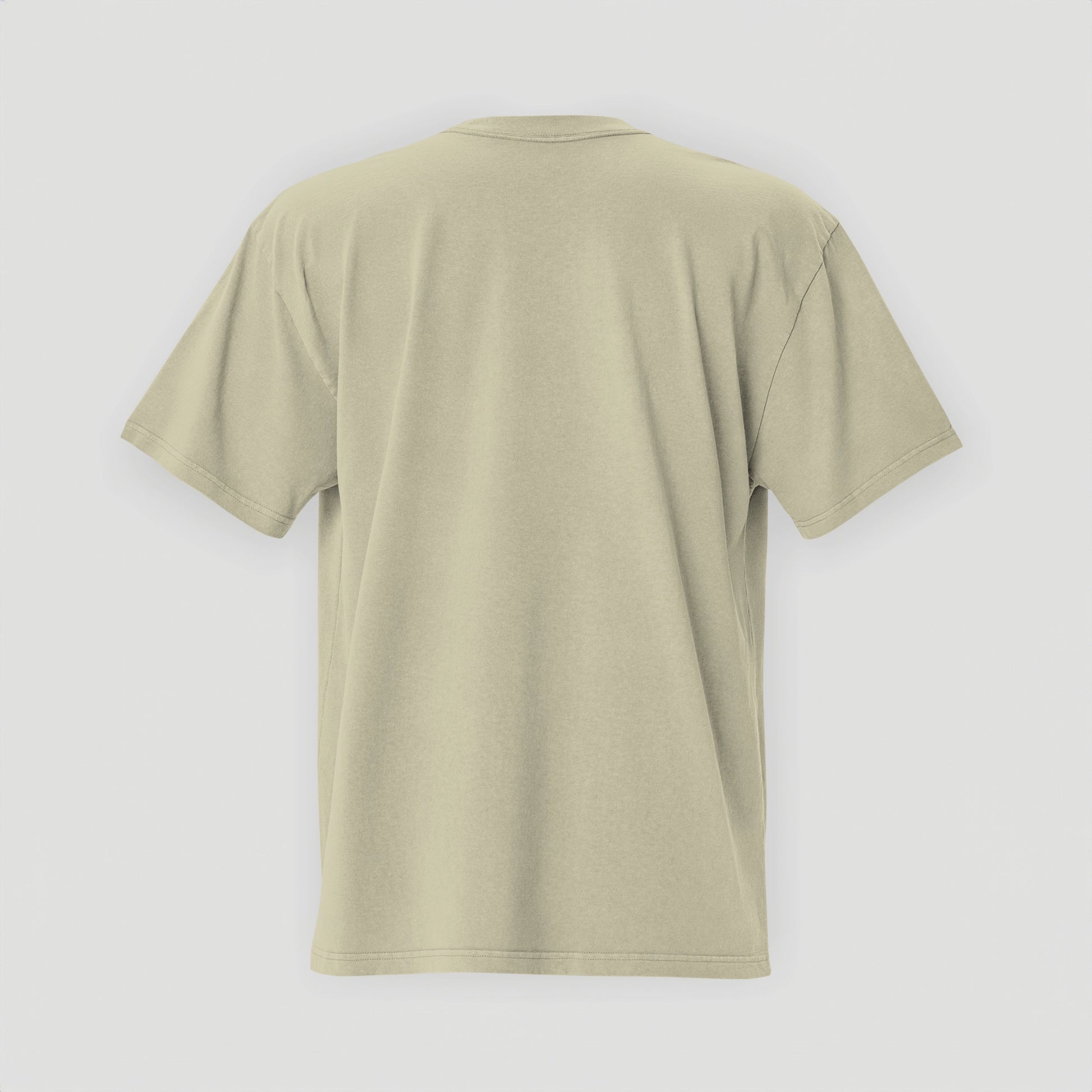 Oversized T-Shirt 1961 Collection Faded Eucalyptus/Black - JUNG L WEST