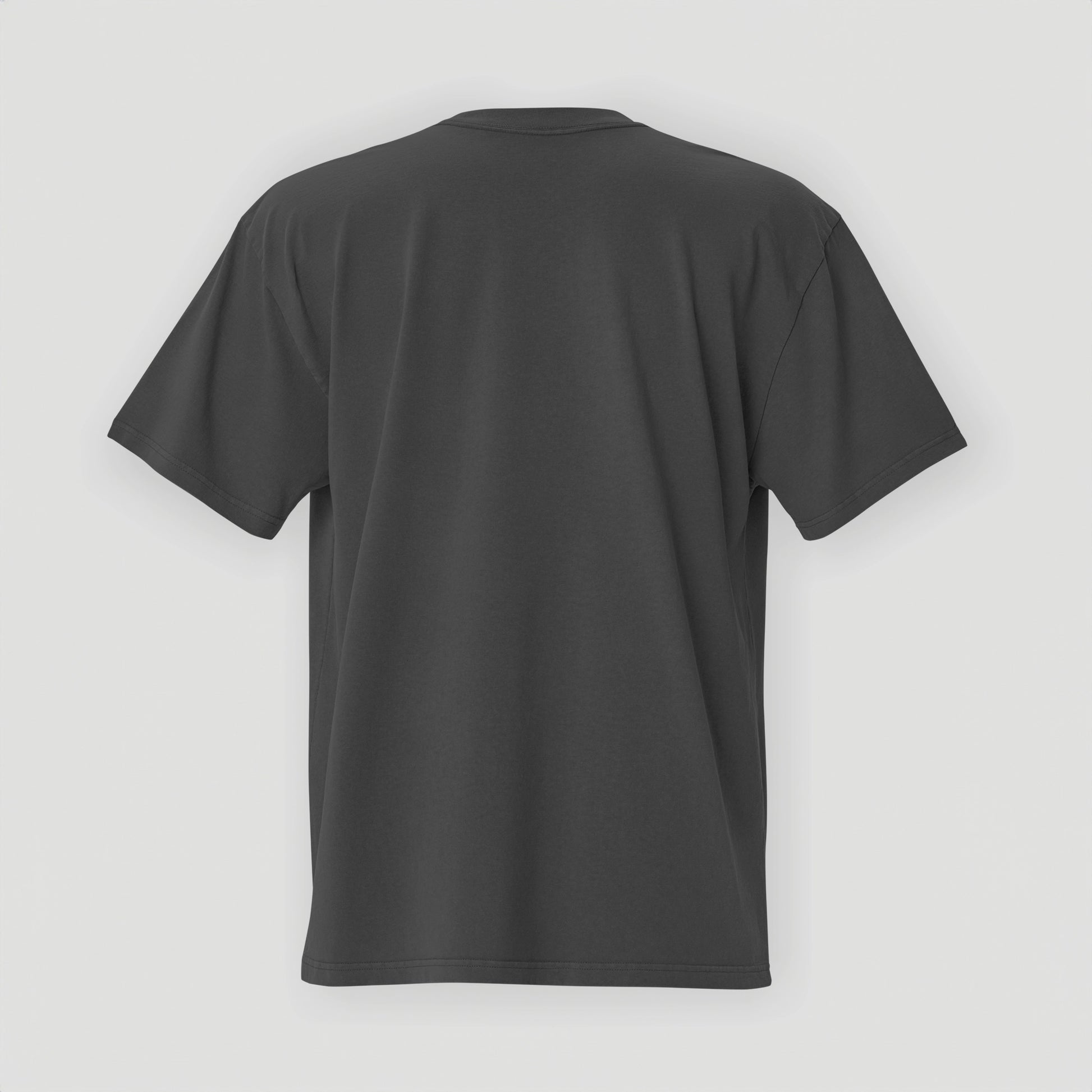 Oversized T-Shirt 1961 Collection Faded Eucalyptus/Black - JUNG L WEST