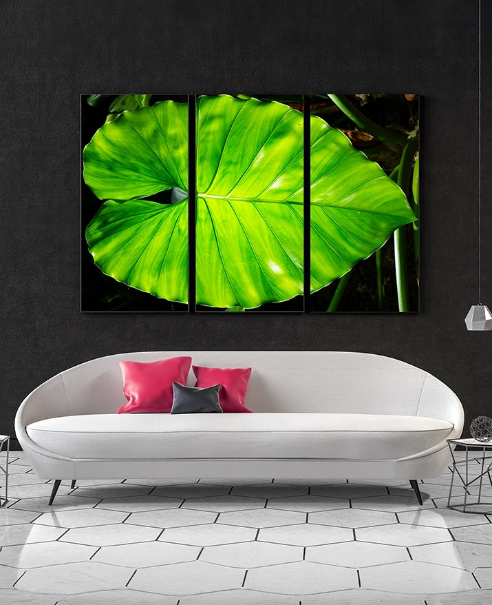 Large Print TIFF 300 DPI Junglwest copyright license